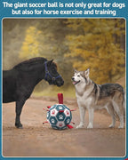 QDAN Dog Toys Soccer Ball with Straps, Durable Giant Dog Balls, Outdoor Dogs Toys, Herding Ball, Birthday Gifts (10 Inch)