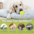 Magicorange Dog Tennis Balls,90 Pack 2.5 inch Floatable Squeaky Tennis Balls for Fetch Exercise, Natural Rubber Squeaky Dog Ball Training Safe (Yellow, 2.5inch)