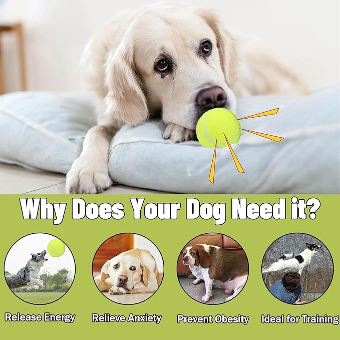 Magicorange Squeaky Tennis Ball Dog Toys 4 inch Oversize Giant Tennis Ball for Fetch Exercise, Natural Rubber Squeaky Dog Balls Training Safe (Multicolor, 6 Pack)