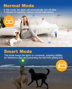 LED Dog Ball Rechargeable, Light Up Dog Ball Toys, Bounce-Activated Durable Fetch Ball, Natural Rubber, Unique Scent, 2.5 inches, for Small & Medium Dogs (Blue)