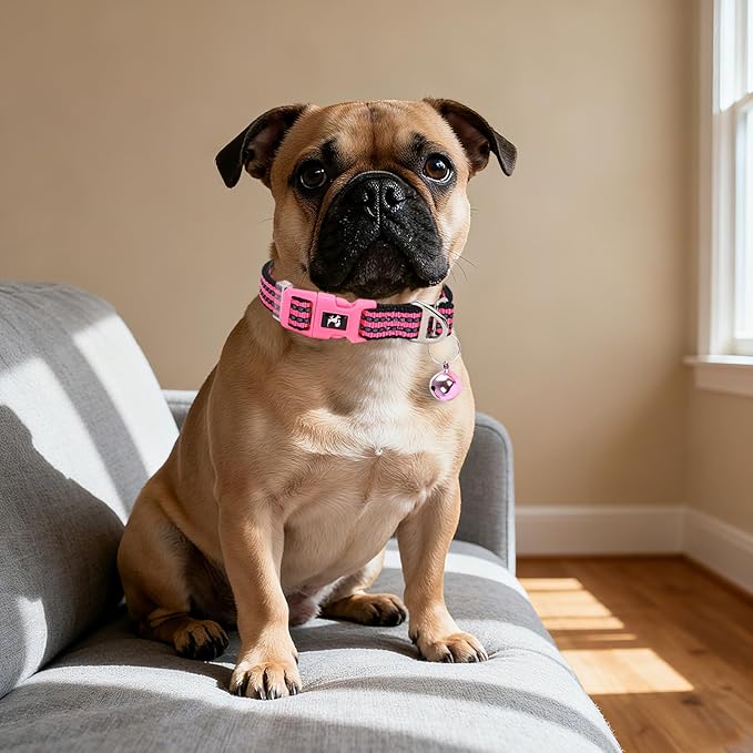 Puppy Collar with Bell Reflective - Adjustable Tiny XS XXS Breed Collar for Girl Female,Night Walk Safety Accessory（Pink XS）