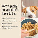 The Honest Kitchen Whole Food Clusters Grain Free Chicken Dry Dog Food, 1 lb Trial Pouch
