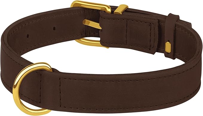 Leather Dog Collar - Heavy Duty Adjustable Soft Padded Pet Collars for Small Medium Large Dogs Breed - Black Green Brown Pink Red Blue (Brown, S, 9"-12" Neck Fit)