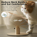 MS!MAKE SURE Adjustable Raised Cat Bowls, Ceramic Elevated Cat Bowls, Pet Bowl with Anti - Slip Rubber Pad, Leak - Proof, Lead & Cadmium Free, Whisker - Friendly, for All Life Stages of Age Pink