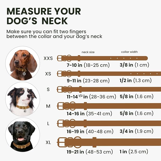 BronzeDog Rolled Leather Dog Collar with QR ID Tag, Adjustable Soft Round Collars for Small Medium Large Dogs Puppy (14" - 16" Neck Size, Light Brown)