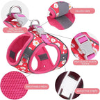 Step in Dog Harness and Leash Set, Flower Adjustable Easy Walk Puppy Harnesses, Soft Mesh No Pull Pet Vest Harness for Small Dogs and Cats(Strawberry, XS)