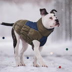 IECOii Dog Coat,Dog Cold Weather Coats for Extra Large Dogs,Thick Fleece Lined Dog Snow Suit Waterproof Dog Puffer Jacket,Large Dog Winter Coat Zippered Pet Snow Jackets Warm Dog Winter Clothes,4XL