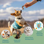 Freeze Dried Little Quail, 3 Oz Quail Dogs Cat Treats, Single Ingredient Freeze Dried Cat and Dog Treats Delicious Training Snacks, Natural Food Healthy Animal Protein Pet Food