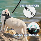 Cat Harness and Leash Set Escape Proof for Kitten Walking, Soft Adjustable Top Handle Vest Harnesses for Cats, Easy Control Breathable Reflective Small Medium Large, Black, S