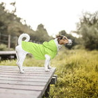 Dog Raincoat rain Jacket Dogs Waterproof fit for Small Medium Breeds Zipper Closure Pocket Storage in Cold Day - Light Green - L