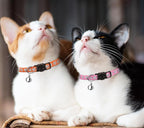 16 PCS Breakaway Cat Collars with Bells Reflective Cat Collar Safety Nylon Kitten Collars Cat Collars for Girl Boy Cats(7.5"-12.6")