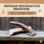 Mighty Paw Split Elk Antlers for Dogs (Sourced in The USA) | 1 Whole Monster 8"+ Long Lasting Bones for Aggressive Chewers - Naturally Shed Split Deer Antler for Dogs - Low Odor Chews (Pack of 1)