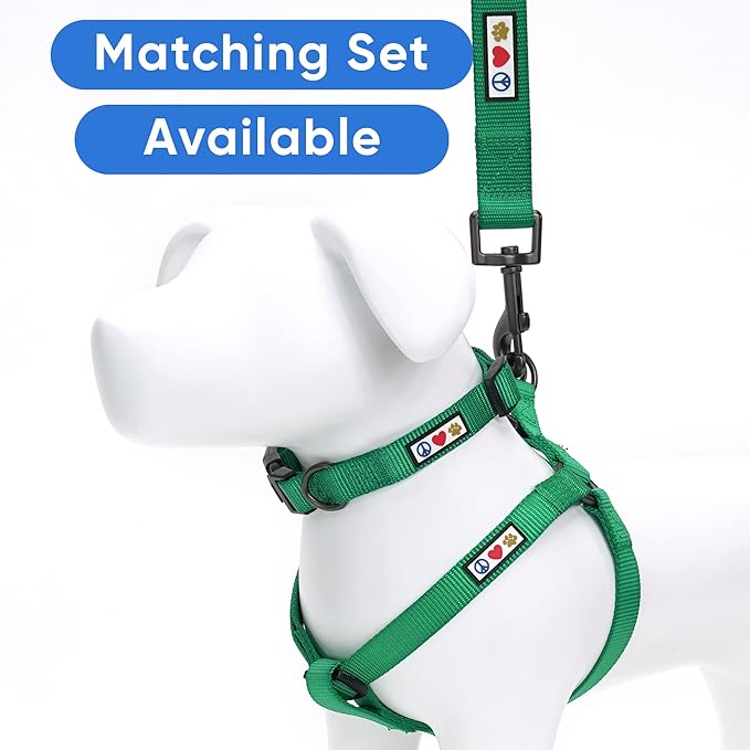 Pawtitas 6 FT Solid Lush Green Leash for Puppy Training - Extra Small to Small Dog Leash
