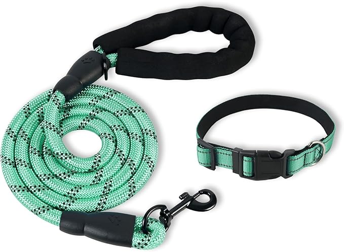 Nylon Dog Leash for Medium Large Dogs, 5-FTReflective Heavy Duty Leash with Comfortable Handle & Poop Bag Dispenser Ring, 1/2 Inch Wide, Secure Reinforcement for Walking (Teal Blue, L)