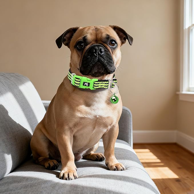 XXS-XS Dog Collar with Bell Reflective - Adjustable Tiny Small Breed Collar for Girl Boy Chihuahua Puppies, Night Walk Safety Accessory（Green XS）