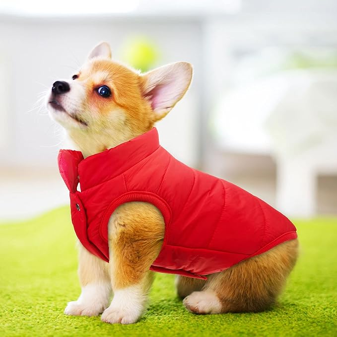 Syhood 2 Pieces Dog Jacket 2 Layers Fleece Lined Dog Jacket Warm Soft Windproof Small Pet Coat for Winter Cold Weather (3X-L,Navy,Red)