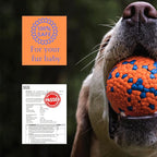 Tough Dog Toys for Aggressive Chewers & Teething Puppies, Bouncy Balls for Medium Dogs, Durable Pet Toys, Floating Dog Balls for Water Play (Orange-Blue-Set)