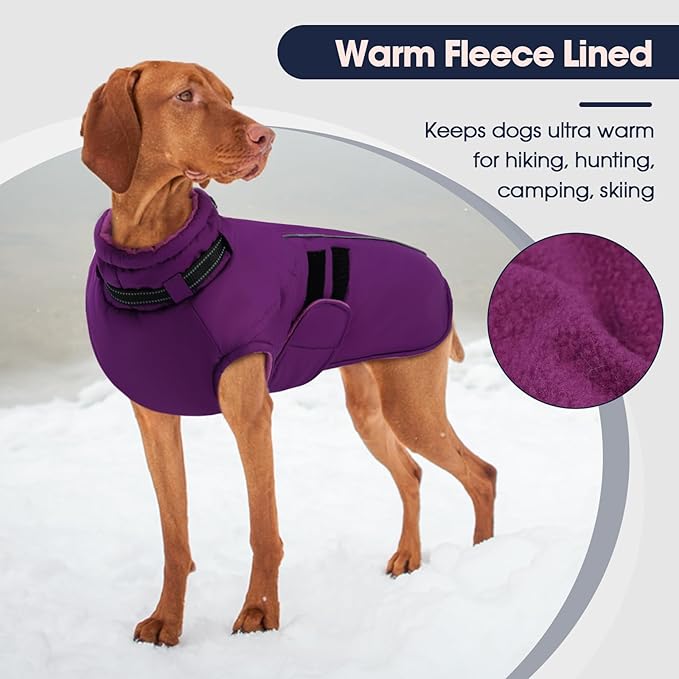 IECOii Dog Coats for Large Dogs Winter Waterproof Jacket with Collar Built in, XXL Dog Coat for Cold Weather Warm Snow Jacket with Thermal Fleece Lining, Reflective Pet Snowsuit Large, Purple - 2XL
