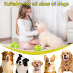 Swingers Squeaky Tennis Balls for Dogs,2.5 inch Training Tennis Balls,Exercise Ball for Pet Dog with Mesh Carry Bag Easy to Transport (Multicolor, 6 Pack)
