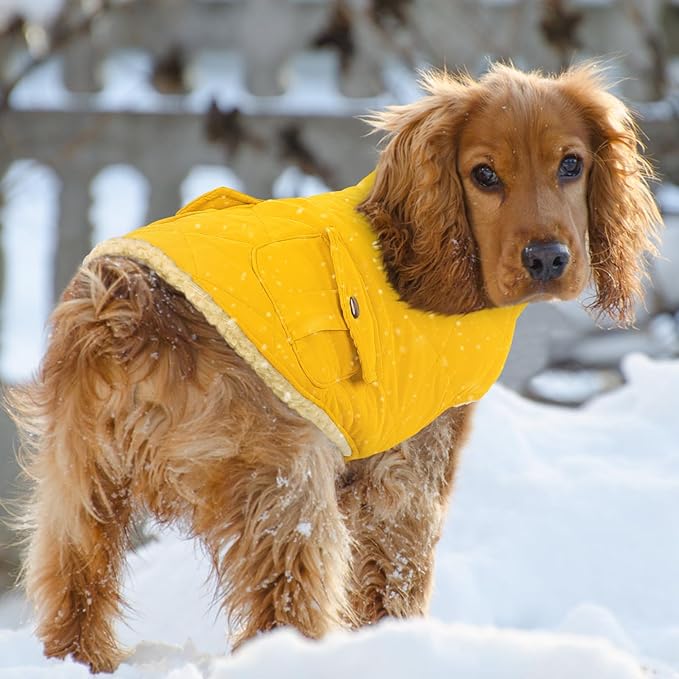 Queenmore Dog Winter Coat Warm Puffer Jacket Waterproof Plush Lining Thermal Cold Weather Vest for Small Medium Large Dogs, Windproof Easy On Pet Jacket Yellow M