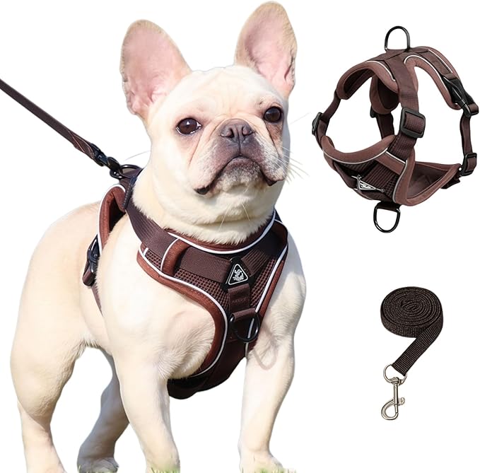 SOLMOONY Small Dog Harness,Soft Mesh Puppy Harness and Leash Set,No Escape Cat Harnesses for Training Walking,Reflective Adjustable Puppy Vest for Small Medium Dogs, Cats (Brown, S)