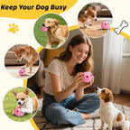 IFOYO Frozen Treat Dog Toy Ball for Small to Medium Dogs, Silicone Enrichment Dog Toys to Keep Them Busy, Reduce Anxiety, Puzzle Treat Dispensing Dogs Toys for Slow Food Training, Easy to Clean