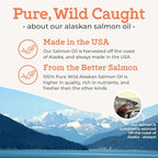 VetPro Complete Wild Alaskan Salmon Oil Formula Supplement for Dogs & Cats, 16 Ounces, Omega 3 & 6 Liquid Fish Oil, EPA + DHA Fatty Acids, Coat & Joint Support, Helps Dry Skin & Allergies, Add to Food