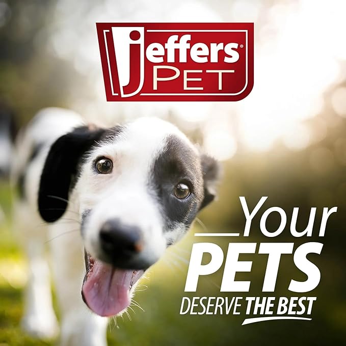 Jeffers Pet Plush Dog Toy with Squeaker, Christmas Reindeer 12" - Soft Crinkle Fabric, Safe & Durable, Healthy Fun for Small & Medium Dogs, Interactive Play, Fetch, Tug - Best Gift for Active Games