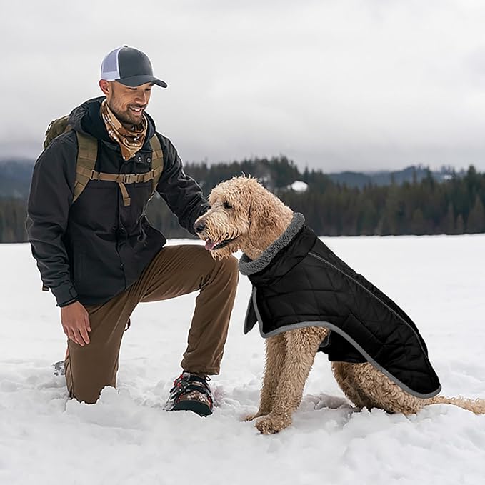 Fragralley Dog Coat Large, Waterproof Dog Jacket with Warm Fleece Lining, Adjustable Reflective Dogs Winter Coat, Turtleneck Pet Coats for Cold Weather (Black L)