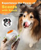 LED Dog Ball Rechargeable, Light Up Dog Ball Toys, Bounce-Activated Durable Fetch Ball, Natural Rubber, Unique Scent, 2.5 inches, for Small & Medium Dogs (Orange)