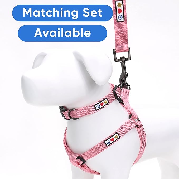 Pawtitas 6 FT Solid Color Leash for Puppy - Comfortable Handle Dog Training Leash - Extra Small/Small Millennial Pink