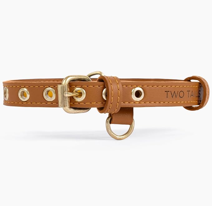 Two Tails Pet Company Cactus Vegan Leather Dog Collar, Adjustable Pet Collar With Gold Hardware and D Rings for Leash and ID Tag for Dogs and Puppies, Easy to Clean & Eco Friendly, Caramel, Size Small