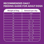 IAMS Advanced Health Skin & Coat Adult Dry Dog Food Chicken and Salmon Recipe, 27 lb. Bag
