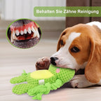 Dog Toys, Dog Squeaker Toys with Crinkle Paper, Stuffed Animal Dog Plush Chewing Toy, Cotton Rope Interactive Toys for Puppy, Small, Middle Dogs (Green Frog)