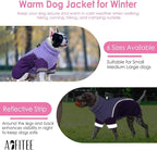 AOFITEE Dog Coat- Two Legged Extra Large Dog Winter Jacket - Zipper Dogs Cold Weather Coat with Harness, Warm Pet Puffer Jackets Reflective Pet Snow Coats for Golden Retriever, Weimaraner, Purple 2XL