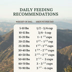 360 Pet Nutrition Freeze-Dried Raw Dog Food – Chicken Recipe with Liver & Organs, High Protein, Omega-3s, Fruits, Veggies & Superfoods, Grain-Free, No Fillers, 5 oz – Made in USA
