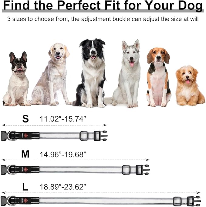 Light Up Dog Collar, Multicolor LED Dog Collar with 7 Modes, USB-C Rechargeable Reflective Glow Collar, Waterproof & Adjustable Design with Battery Indicator for Safe Night Walks(Medium)