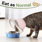 Cat Cone Collar Soft: Comfortable Waterproof Mesh Recovery Cone After Surgery to Stop Licking and Scratch, Alternative to Plastic Elizabeth Head/Neck Cone(Pink, M)