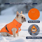 IECOii Coats for Dogs - Reflective, Adjustable & Windproof, Dachshund Jacket for Winter, Fall, and Spring, Waterproof & Cozy Fleece Lined Snow Vest with Easy-On Buckles, Orange, Size M