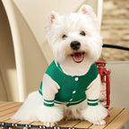 Small Dog Sweater Sweatshirt Cute Puppy Sweaters - Winter Green Warm Knitted Bear Design for Puppies (L)