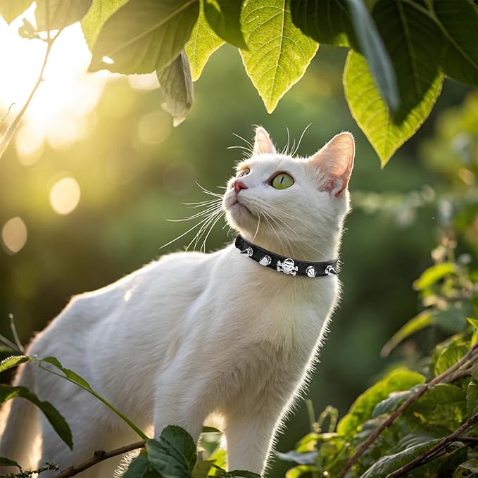 EXPAWLORER Leather Cat Collar for Girl Boy- Adjustable Pet Collar with Safety Elastic Belt,Personalized Punk Accessories Buckle Collars with Bell & Durable D-Ring,Rivet(Black)
