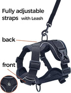 Cat Harness and Leash Set Escape Proof Tactical Small Kitten Harness Emotional Support Cat Vest, Black, S