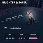 Super Bright LED Dog Collar - Fully Waterproof & Adjustable Glow Collar - USB-C Rechargeable for Night Walking, Safety - Flashing Lighted Collar for Dogs(Pink,M)