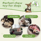 Squeaky Dog Toys, Dog Rope Toys Indestructible Natural Cotton Interactive Dog Toys, Tug of War Tough Chew Toys for All Breed, Green
