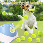 Magicorange 6 Pack Small Tennis Balls, 2 inch Squeaky Tennis Ball for Dogs,Colorful Easy Catching Squeaky Dog Balls with Mesh Bag for Easy Transport (Yellow)