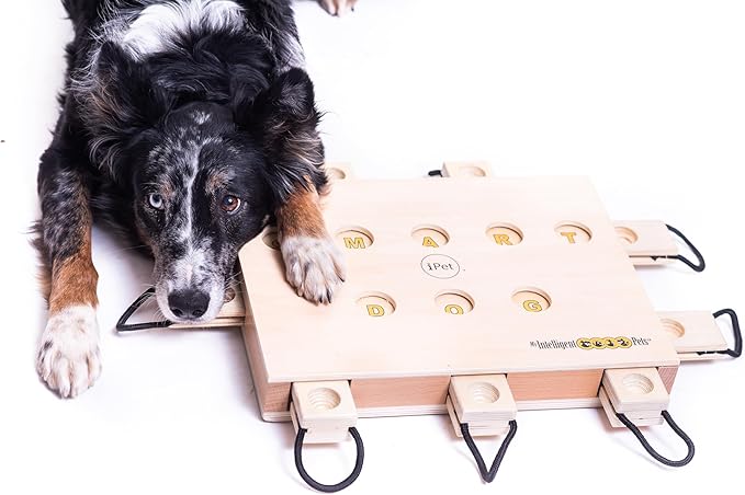 iPET-Smart Dog - Interactive Wooden Puzzle Toy, Fun and Challenging Brain Game for Smart Dogs, Mental Stimulation and Enrichment, All-Wood Design