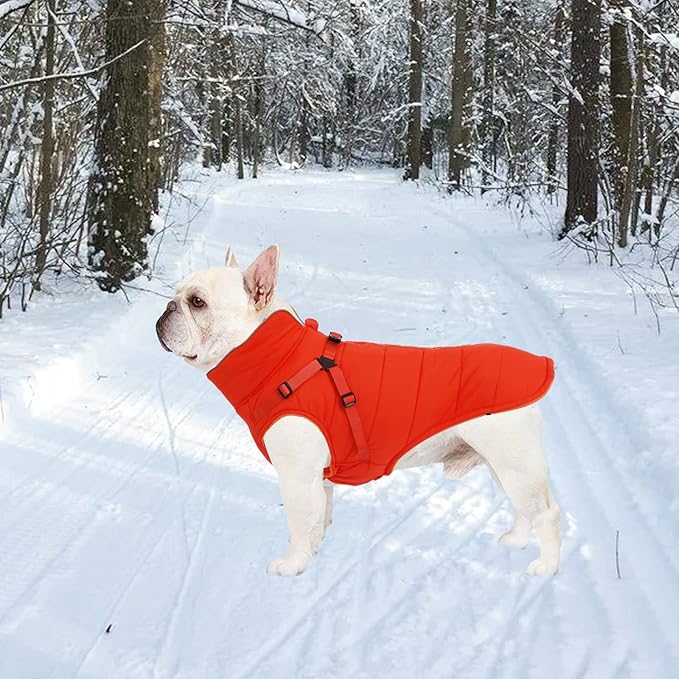 Geyecete Winter Warm Coat Waterproof Dog Winter Jacket with Harness Traction Belt,Windproof Pet Outdoor Jacket Dog Autumn-Orange-M