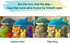 Crinkle Dog Toy – No stuffing Squeaky Dog Toy for Small, Medium & Large Breeds, Interactive Tough toy set - Ideal for Chewing, Teething & Fetch, Durable Pet-Safe Materials - Soft Blue Plush, Large