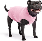 Goldpaw Stretchy Fleece Jacket for Small Dogs - Super Soft, Warm Dog Sweater - Pet Sweater Vest for Fall and Winter - Canine Clothes Made in The USA - Machine Washable - Rose - Size 16