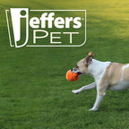 Jeffers Pet Sporty Pup Plush Baseball Squeaker Dog Toy, 4" - Soft Interactive Plush Ball for Dogs & Puppies, Indoor Play, Fetch, Cuddle, Interactive Fun, Birthday, Holiday, Christmas, Halloween